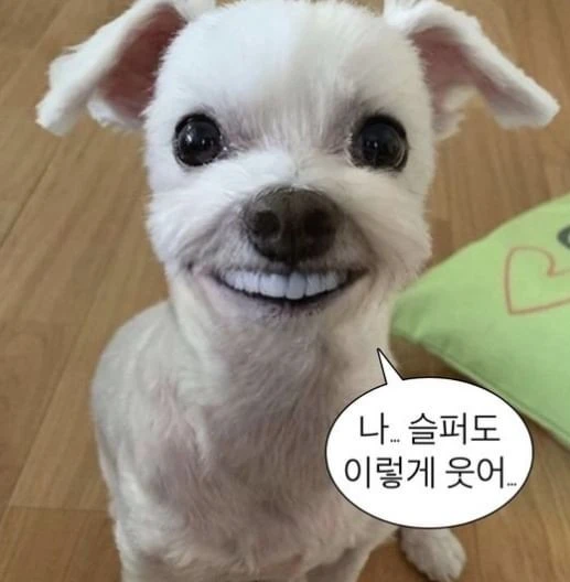 1696003308494.jpg?type=w3840