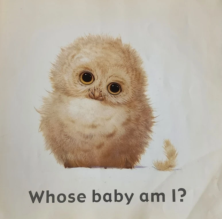 KakaoTalk_20230922_101058198_21.jpg?type=w773