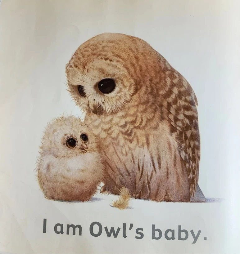 KakaoTalk_20230922_101058198_20.jpg?type=w773