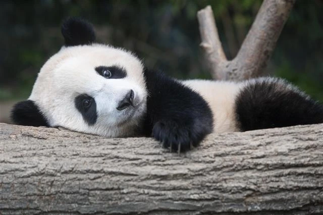 SSC%EF%BC%BF20230827144801%EF%BC%BFO2.jpg?type=w773