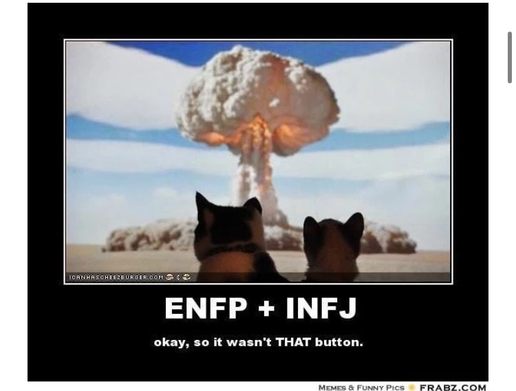 output_2899136241.jpg?type=w800