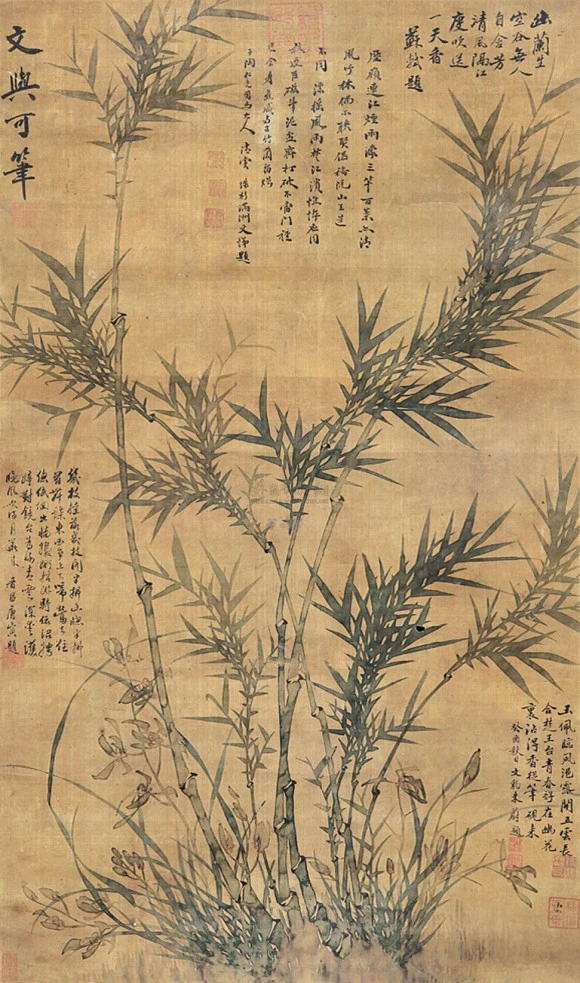 2361E348528B6A5D33.jpg?type=w580