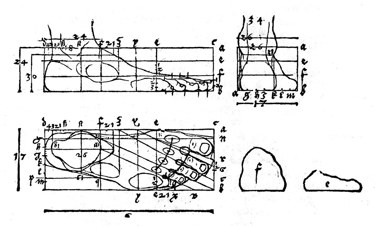 1280px-Durer_foot.jpg?type=w1200