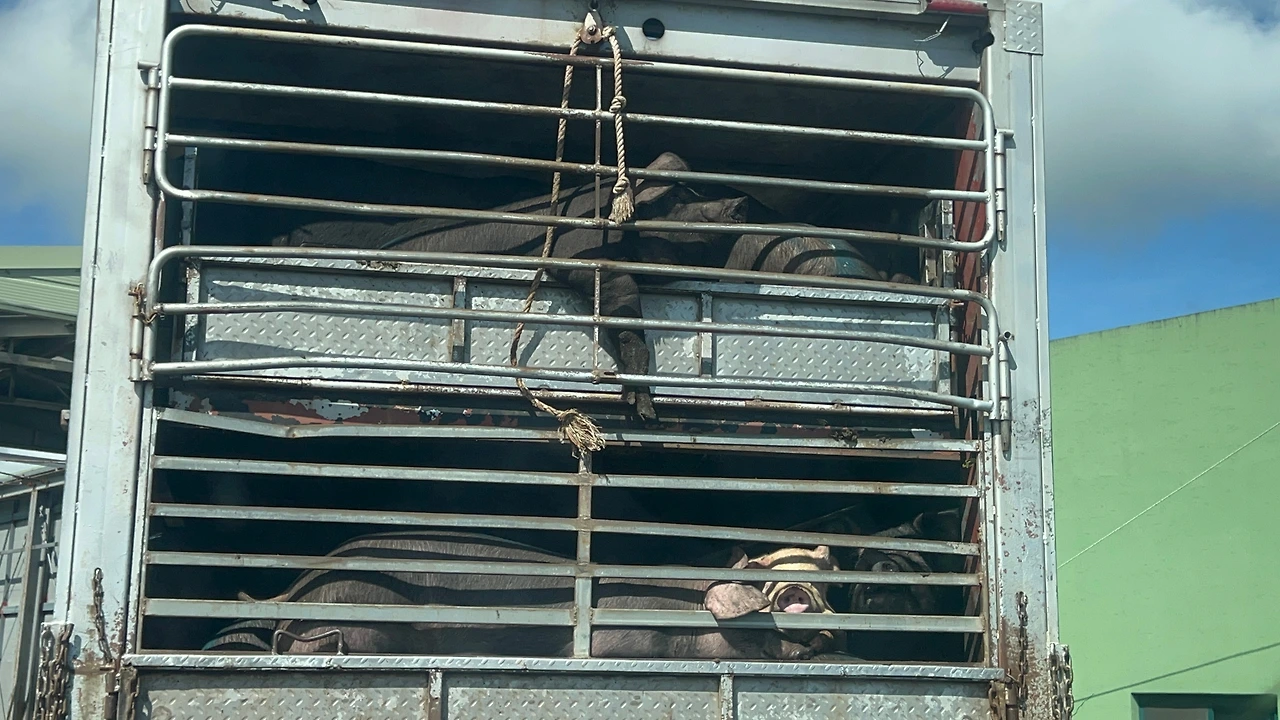 KakaoTalk_Photo_2023-09-04-10-12-01 009.jpeg