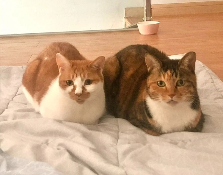 H41s_jzgw_j0PDnYv4liuSOWHQ02jp0qKod8aFFZnC9T92IfFV_U9B85LfTDzyZKlG8k1SUi7HCI8ektTfI6iT2eAHIdikg-Cdo_Rf_FtOQ49PP5IDgVDO4DluquUH8kZJoWraNBO8xFEl_b64_5y5VBkf80bv-GX-JHa4de7rGkOHBxyURrU1U83t9H6g