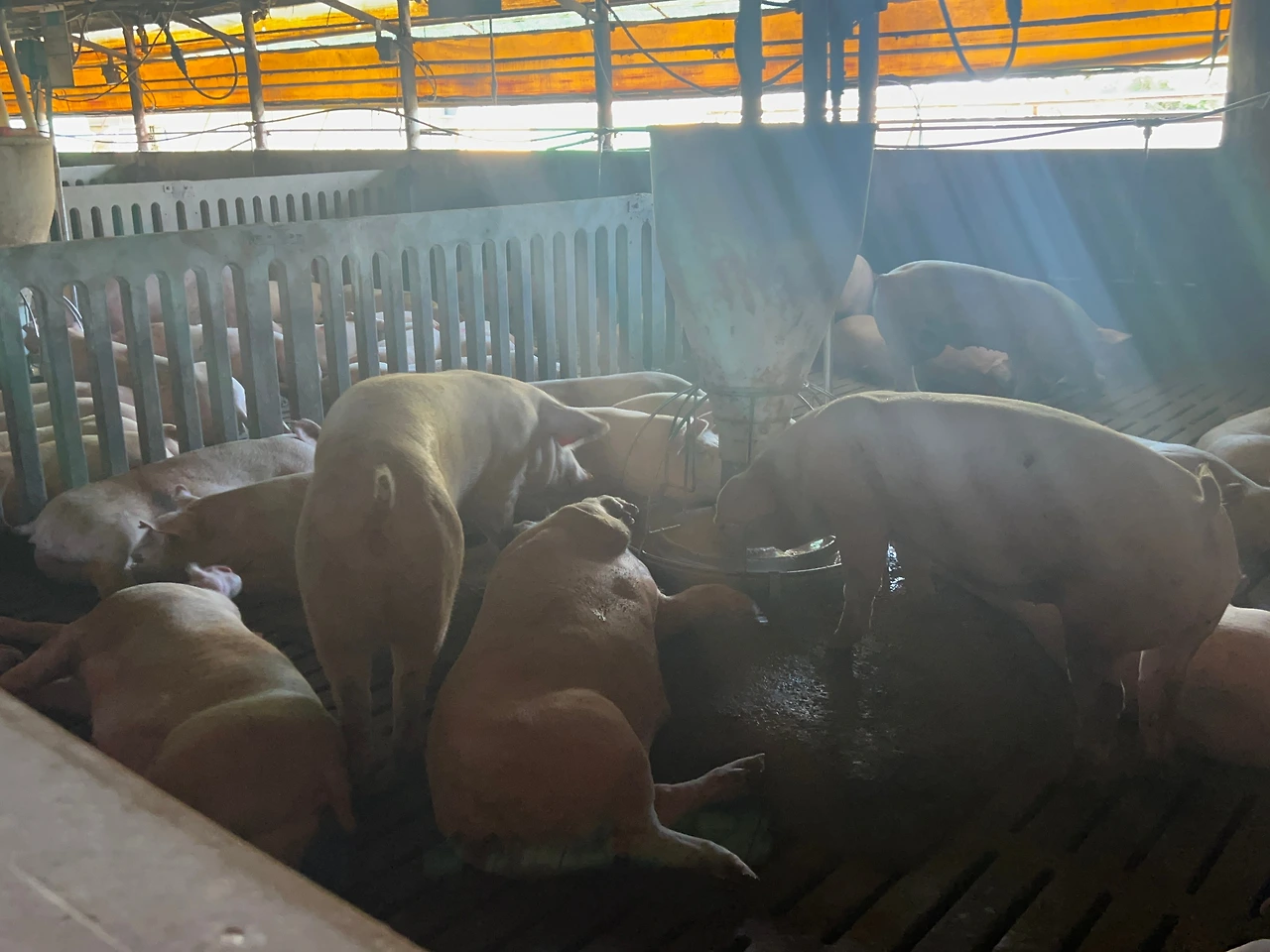 KakaoTalk_Photo_2023-09-04-10-11-59 002.jpeg