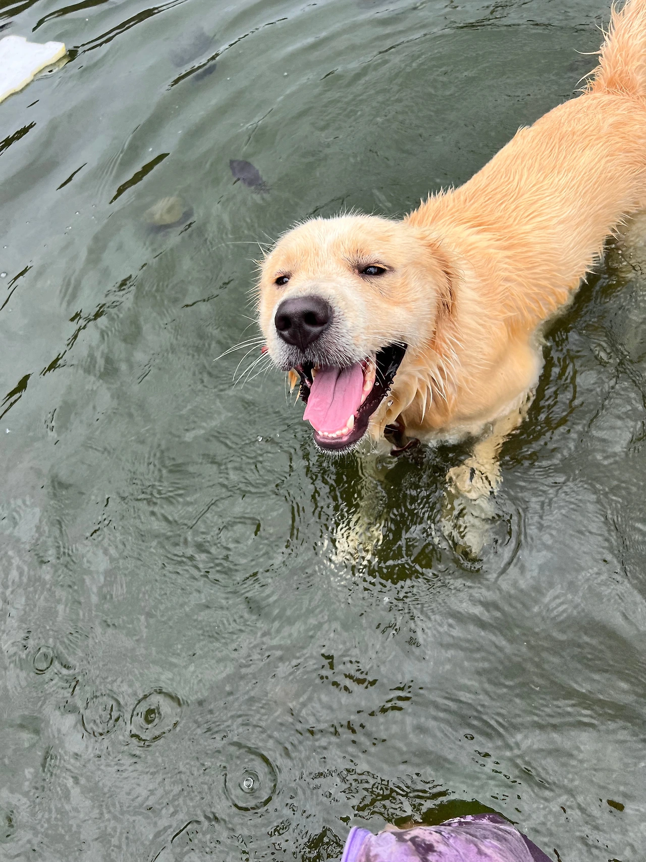 KakaoTalk_Photo_2023-08-12-17-11-34 006.jpeg