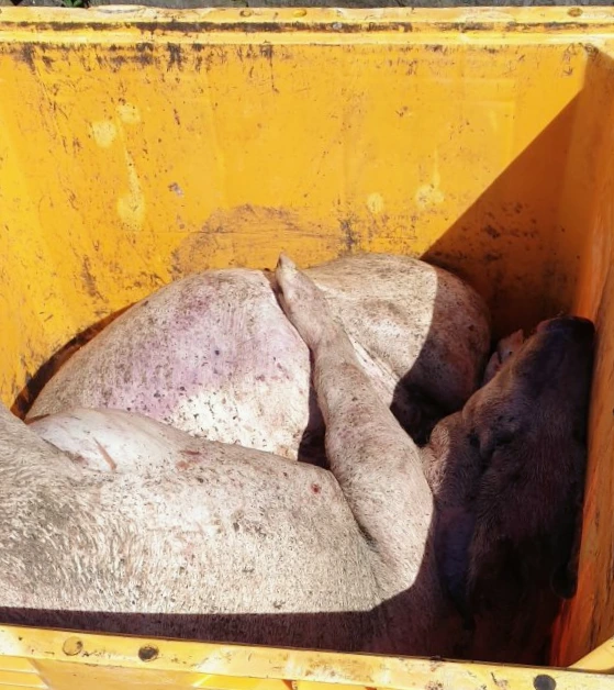 KakaoTalk_Photo_2023-09-04-10-12-01 012.jpeg