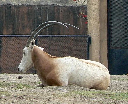 Bjul4hszskApxMmULajNSM5eitYgSdwu25uNxvYr-4Jsff0kBzp9rHbG7lo0p0VMAigKoX-uvjiB7aWfxx0HT-UIIcc1hRHyu84d4f69j2do0OvRlyg9VjJA5sCDbSbjpUjqTlIbfQz5FFZ2As8IaaM