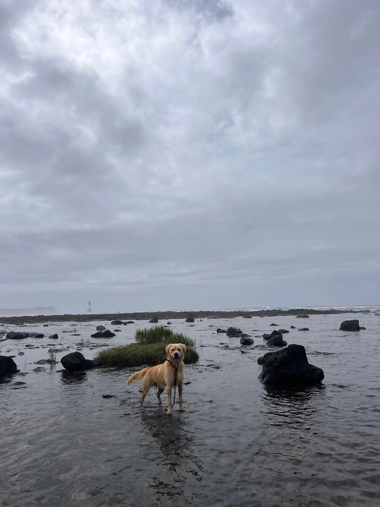 KakaoTalk_Photo_2023-08-12-17-11-39 010.jpeg