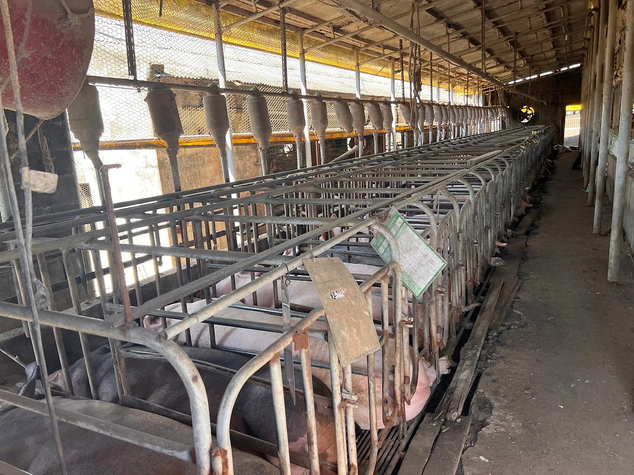 KakaoTalk_Photo_2023-09-04-10-11-59 003.jpeg