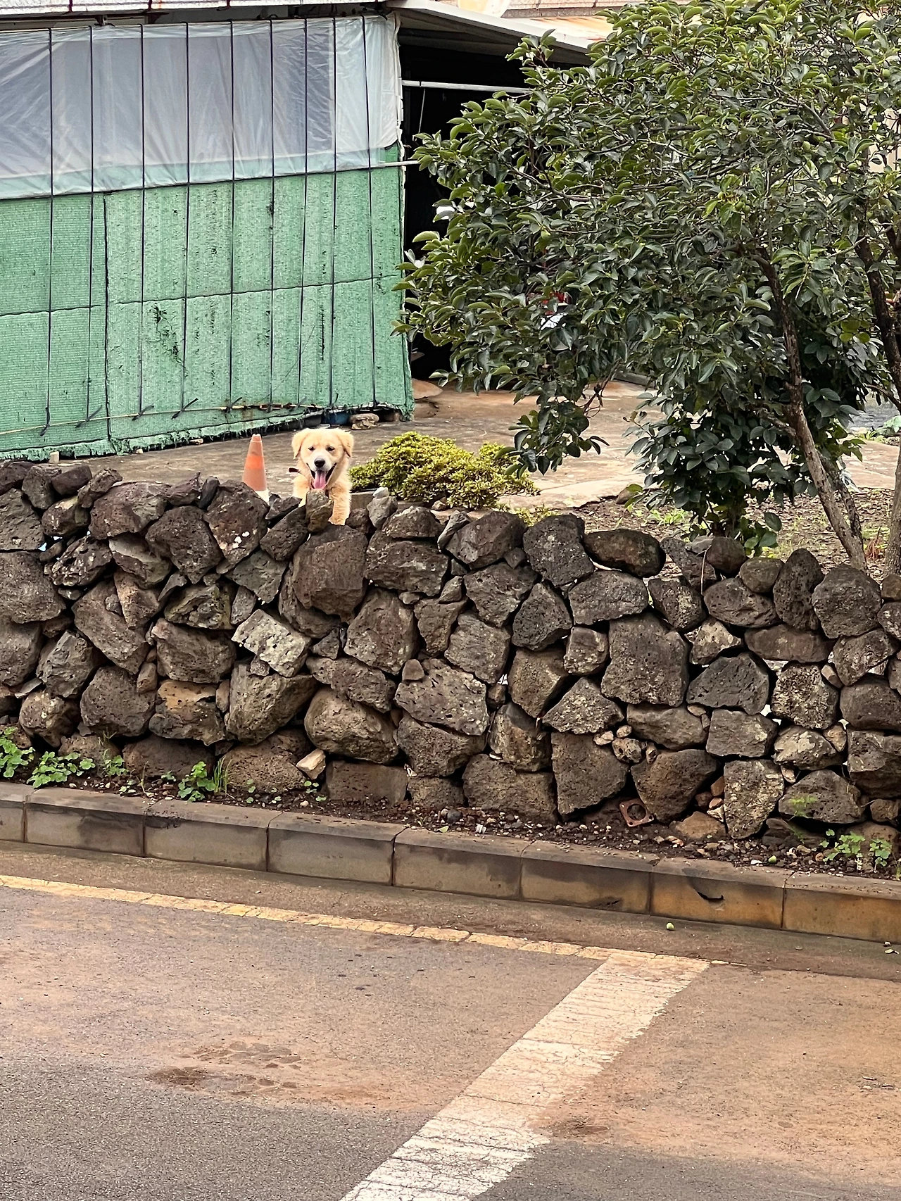 KakaoTalk_Photo_2023-08-12-17-11-33 005.jpeg