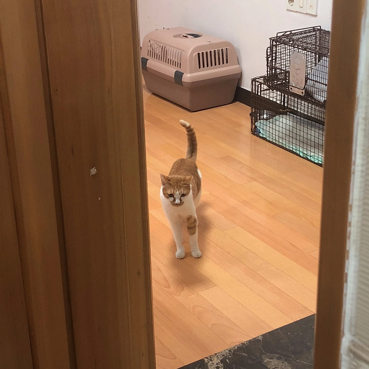 QdjUV9mmenrGSLWBIfIjCfIlj5TK5zw7bUJ9f2iOZqDc40n1g8Cn-CEq_kmbcM9kPIneCSx-UREz6oKwS7YS0avIlAg9HnD5XTilZBuGykqz94b8TthQ9VUofi6pDl2qul-EhTRpDPyzmTmhga-FbM_RKai8jtn65LOfo201YzYQTx0unLaUdVBhE7UGeg