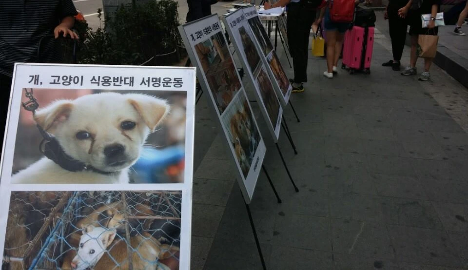 10559668_316652751835332_4693747801672111734_n.jpg?_nc_cat=102&ccb=1-7&_nc_sid=ba80b0&_nc_ohc=wb7BGFwQa3QAX9xfvXg&_nc_oc=AQkocgeHU5QR6HtFfaXrTnRlgTSNb5U4oAbjp9tSppT6Vq5POrboMqEZncTJxUMfT2s&_nc_ht=scontent-ssn1-1.xx&oh=00_AfBtrqLU_IoZR8LB80d5hDfOUxhP1p7ijM9MCWqAdv7PcA&oe=648E53F4