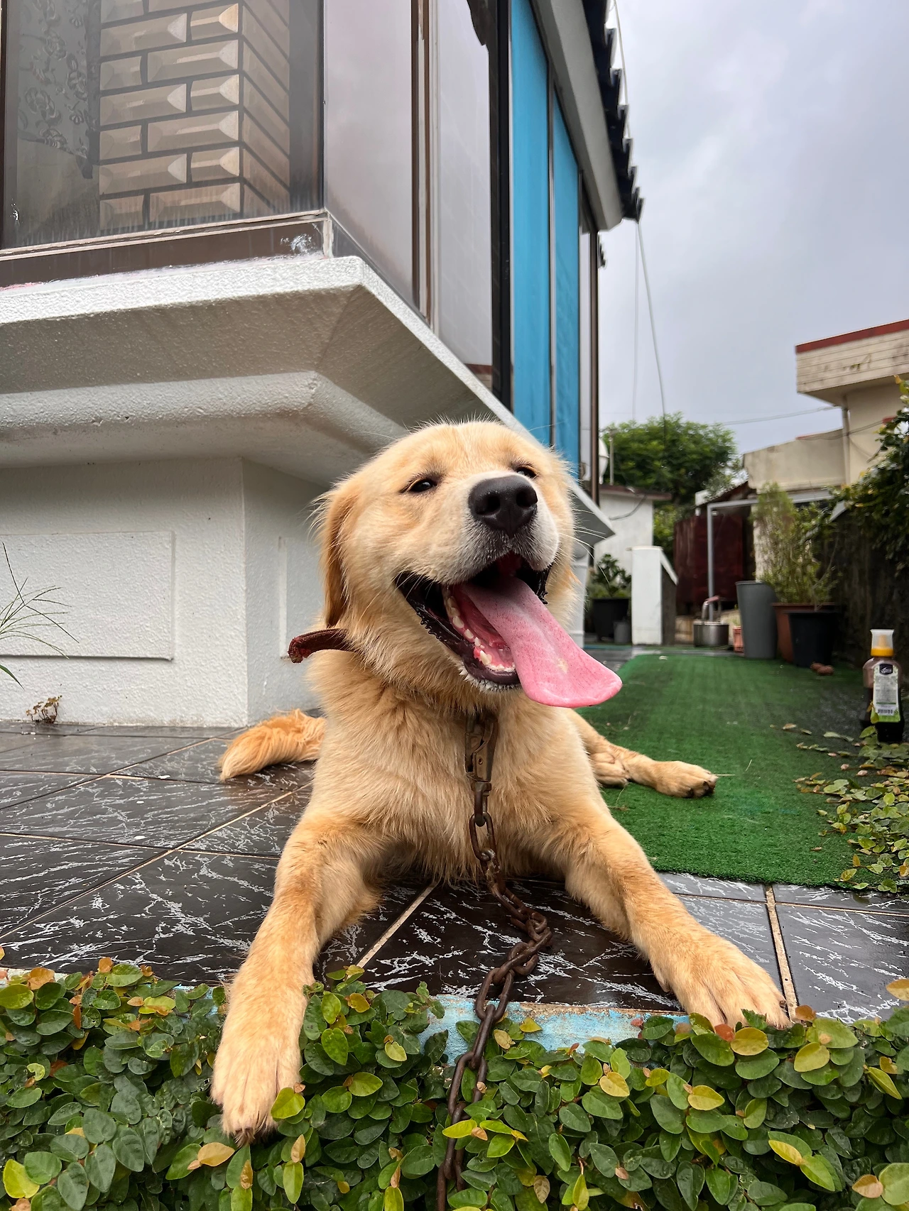 KakaoTalk_Photo_2023-08-12-17-11-30 002.jpeg