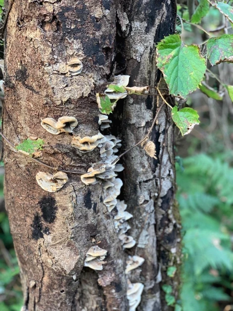 KakaoTalk_Photo_2021-11-24-13-02-28 002.jpeg