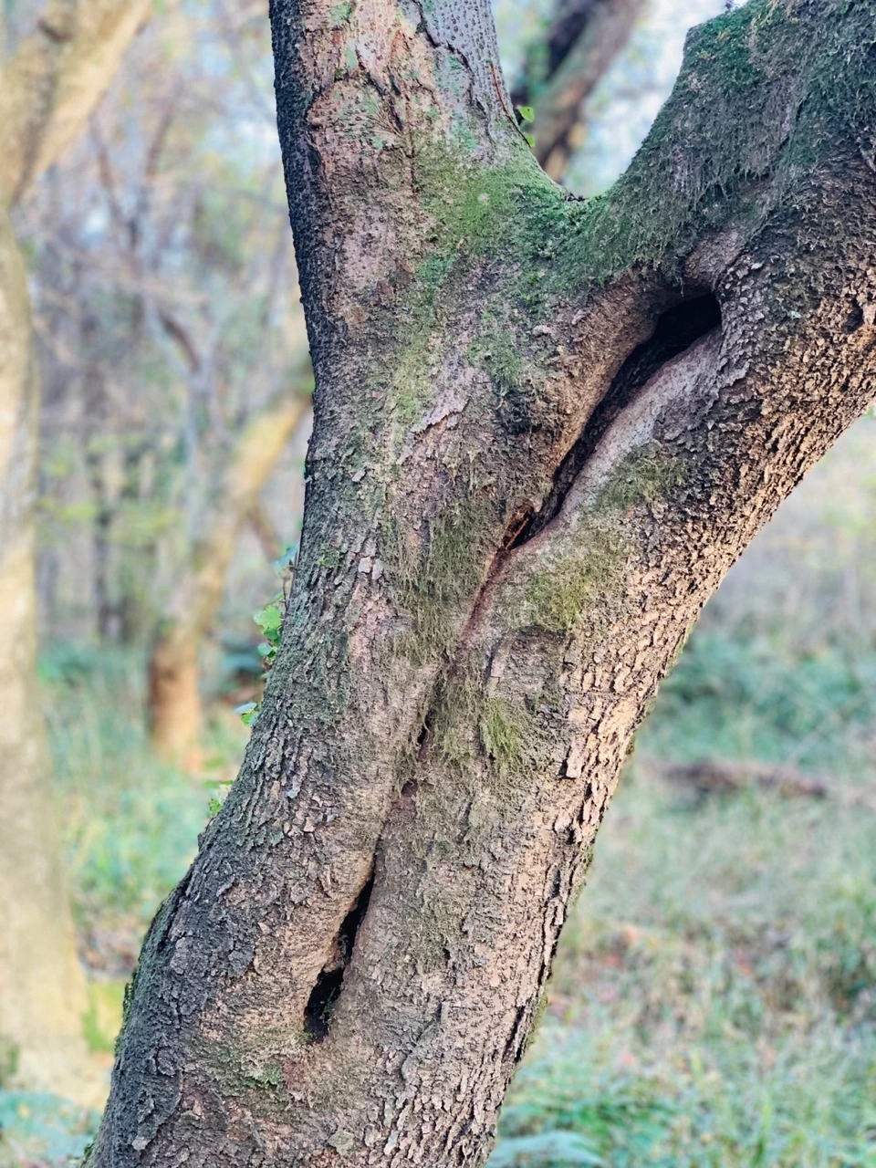 KakaoTalk_Photo_2021-11-24-13-02-29 010.jpeg