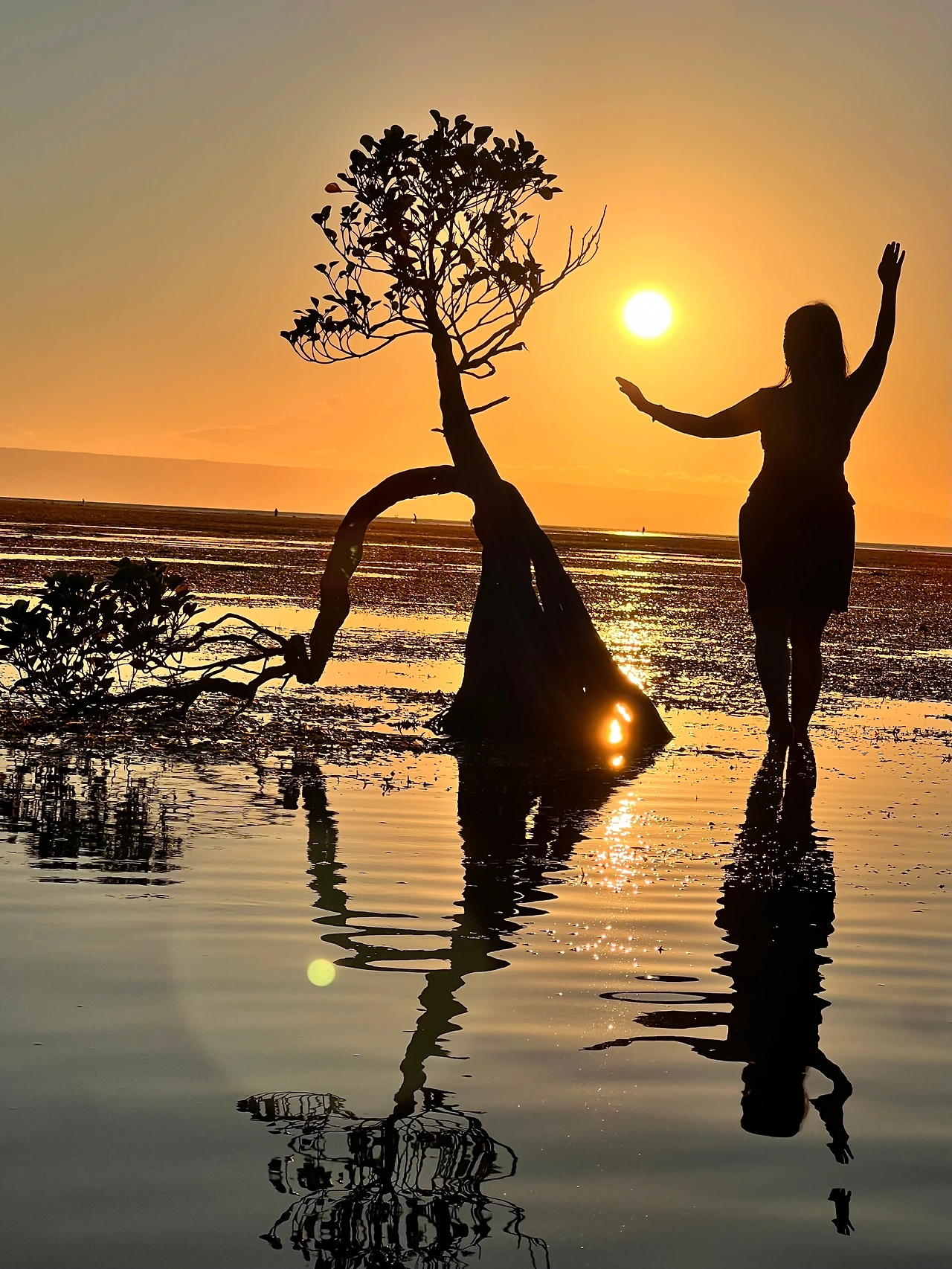 KakaoTalk_Photo_2024-06-08-15-55-35 002.jpeg