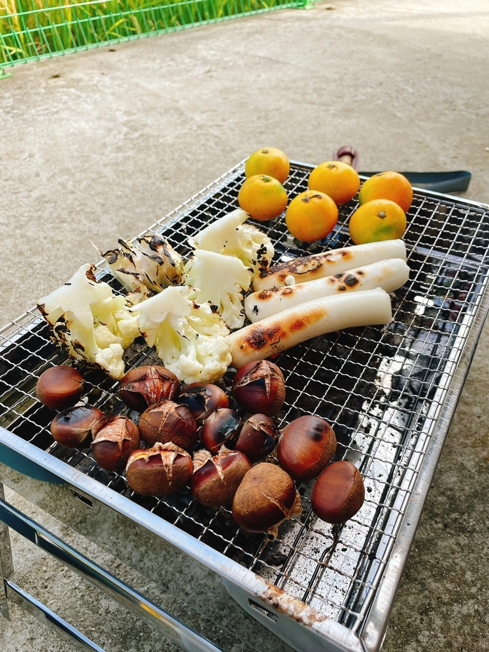 KakaoTalk_Photo_2021-10-12-15-15-51 004.jpeg