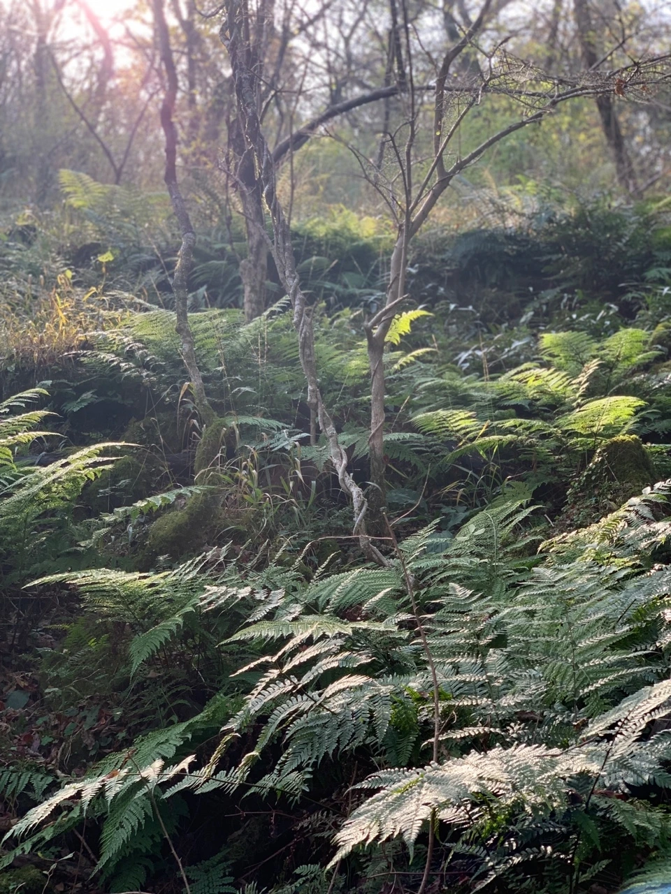 KakaoTalk_Photo_2021-11-24-13-02-29 009.jpeg