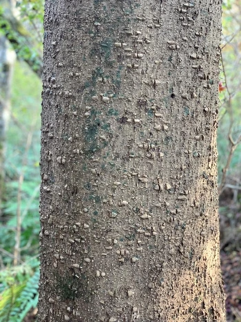 KakaoTalk_Photo_2021-11-24-13-02-28 001.jpeg