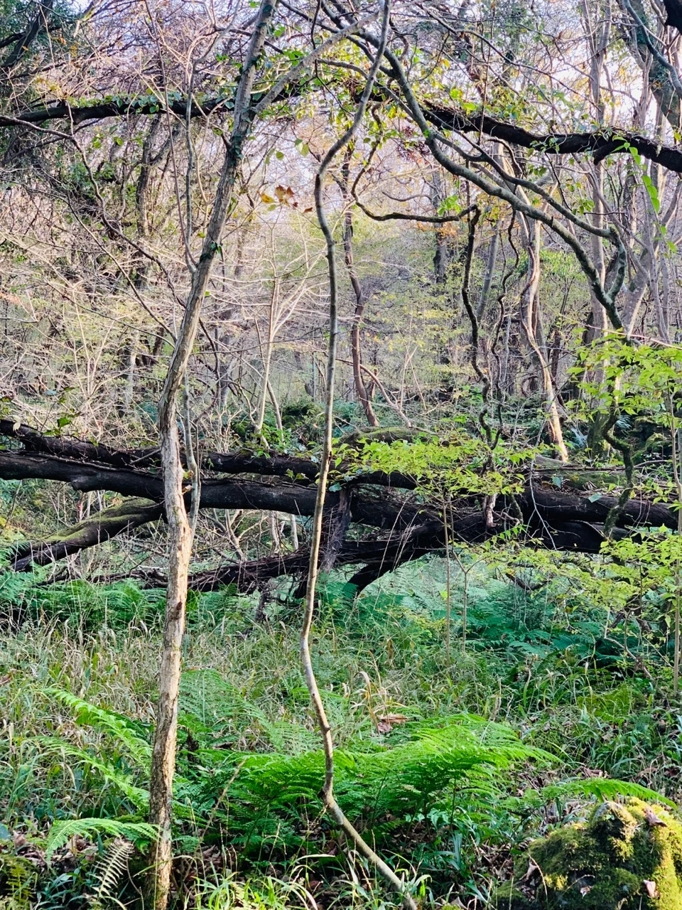 KakaoTalk_Photo_2021-11-24-13-02-29 006.jpeg