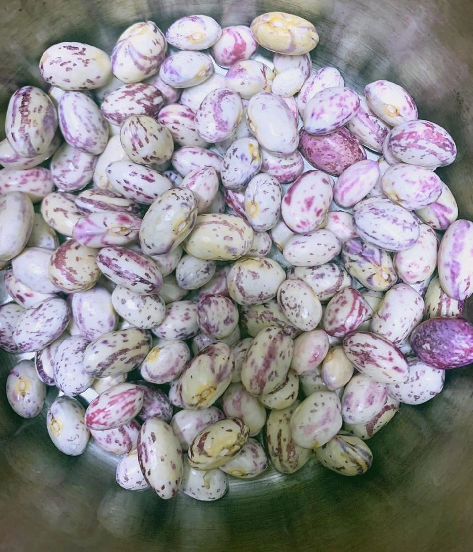 KakaoTalk_Photo_2021-11-10-10-28-50 008.jpeg