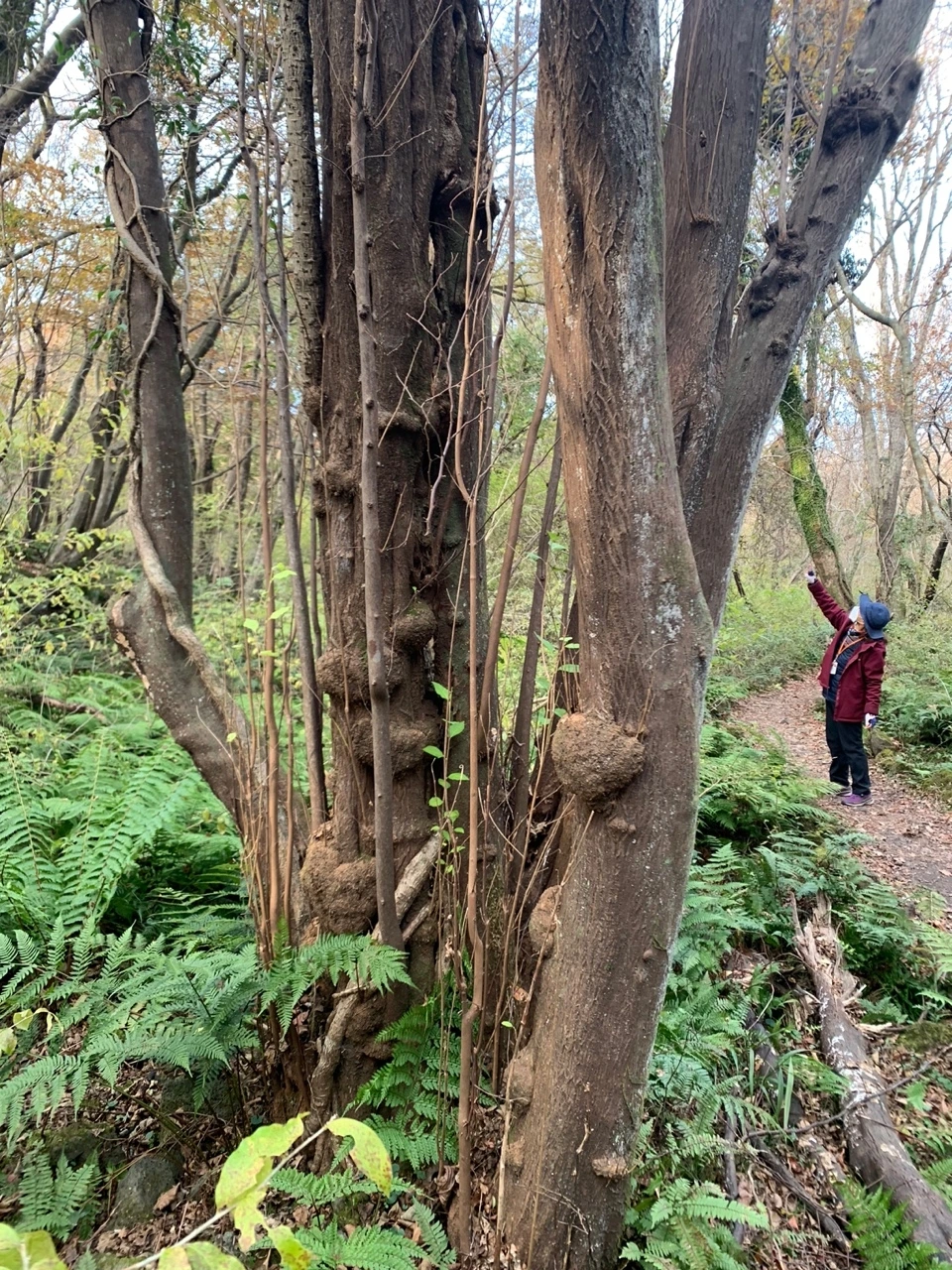 KakaoTalk_Photo_2021-11-24-13-02-29 003.jpeg