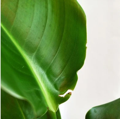 Screenshot 2022-09-26 at 23.29.40.JPG