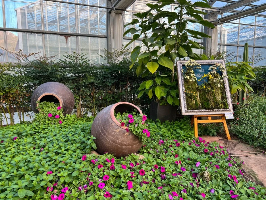 SE-d14ed86f-6ab6-42e2-bf79-120b8e32f369.jpg?type=w1