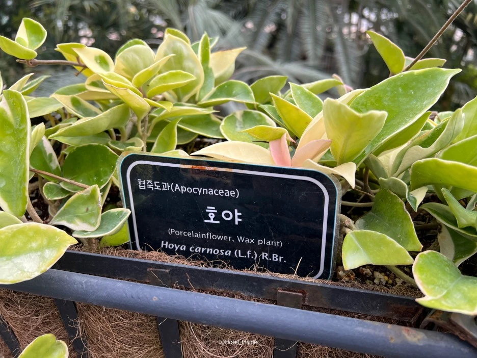 SE-86452fc0-ad4b-4020-ae60-75496811c070.jpg?type=w1