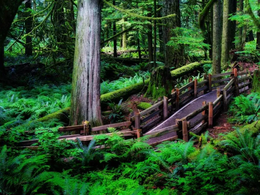 %ED%80%84%EB%A6%AC%EC%BB%B4_%EB%B9%84%EC%B9%98_%EC%88%B2.jpg?type=w1