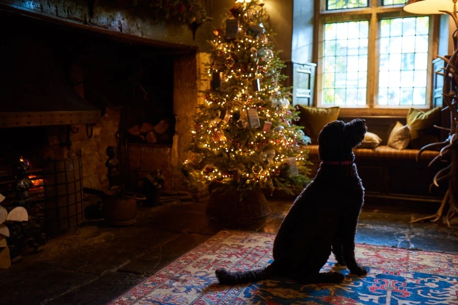 Lygon_arms_hotel_7.jpeg?type=w1