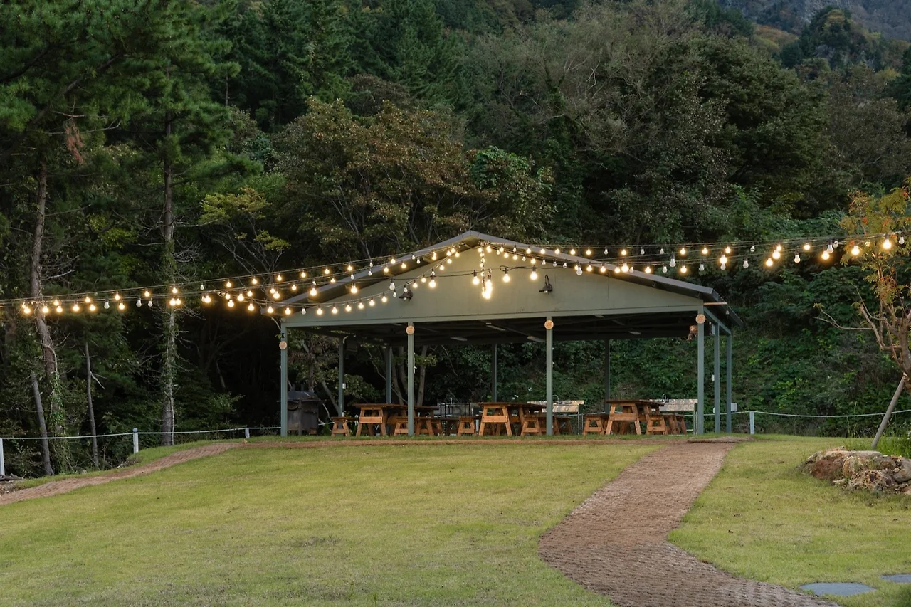 d3d7bf30e77e6dd093da3f4cf983c36261da3f8e.jpg?1732262555