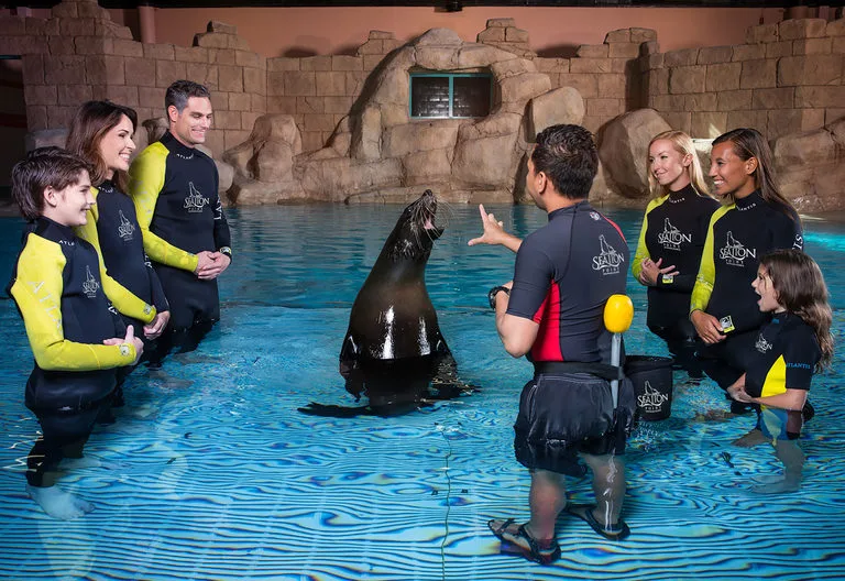 SeaLion-Lifestyle-EducationalProgram.jpeg?type=w1