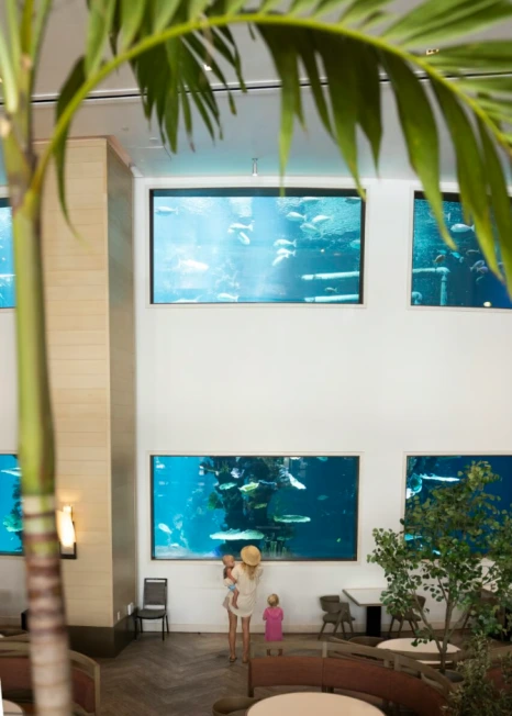 Alohilani%C2%A0Resort%C2%A0Waikiki%C2%A0Beach_1-1.png?type=w466