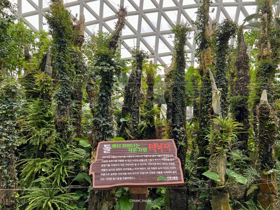 SE-9cc3f000-54f8-4af2-9964-35affdc2aa51.jpg?type=w1