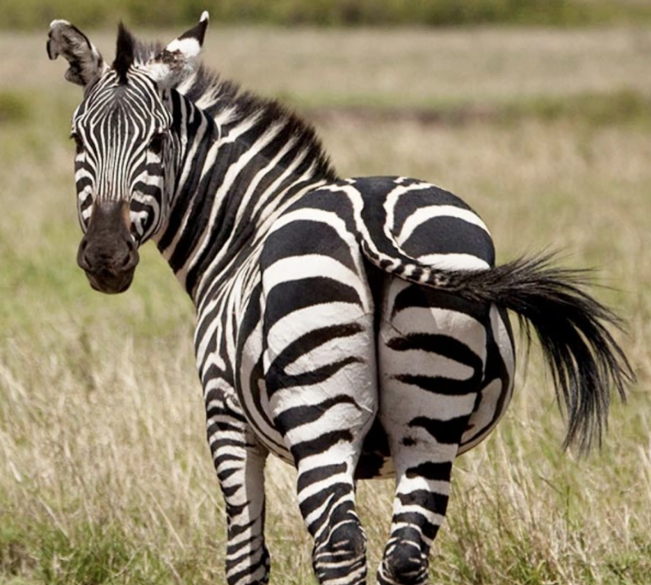 %EC%8A%A4%ED%81%AC%EB%A6%B0%EC%83%B7_2022-06-09_%EC%98%A4%ED%9B%84_5.19.27.png?type=w1