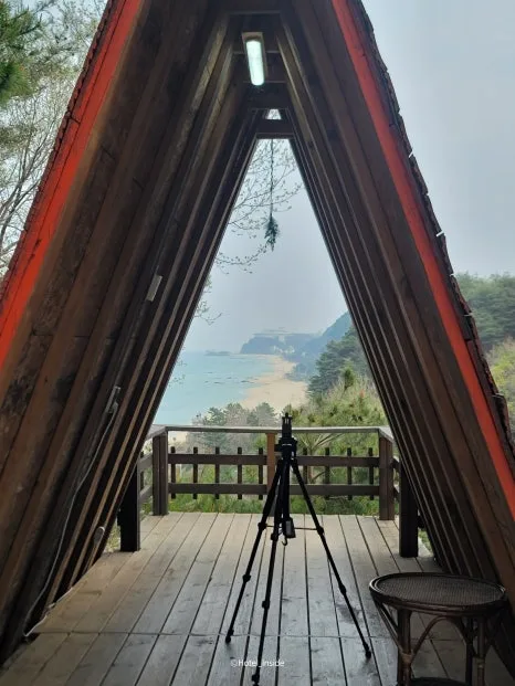 SE-622cdc72-18a3-4023-9f81-a5af16e64534.jpg?type=w466