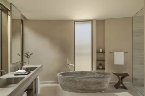 One-Bedroom_Desert_Pool_Villa_3.png?type=w466