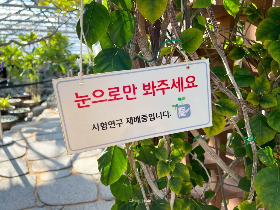 SE-3e32e13f-69a0-44a2-8d8b-d60382ce0d2d.jpg?type=w1