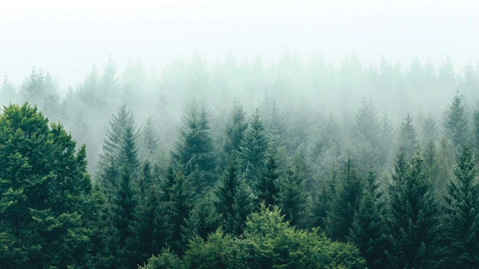 %EB%A1%AF%EB%8D%B0%ED%98%B8%ED%85%94_%EC%A0%9C%EC%A3%BC.jpg?type=w1