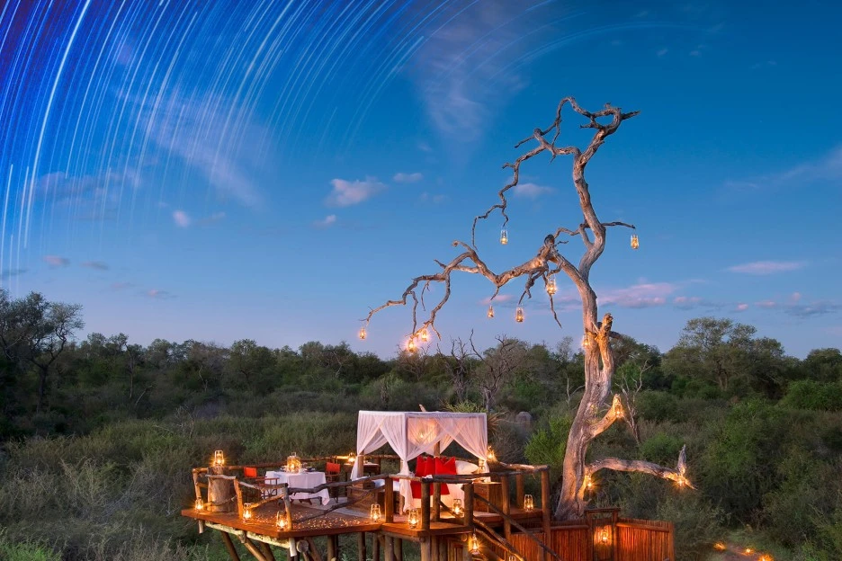 tree_house02_copy.jpeg?type=w1