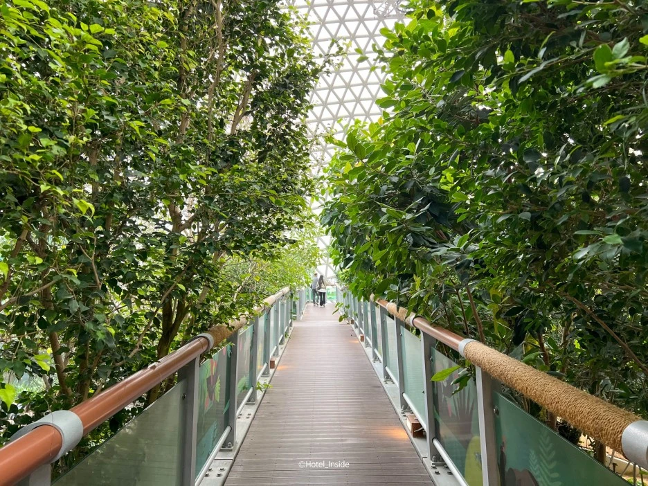 SE-3788a200-b6b5-4703-af06-ffc770596bd2.jpg?type=w1