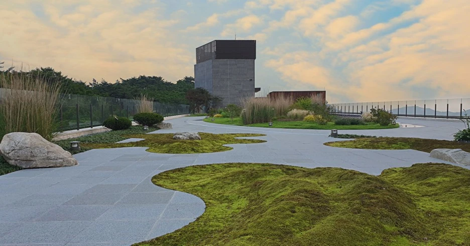 vtop_01.jpeg?type=w1