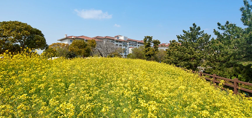 %EB%B4%84%EA%BD%83_%EC%A0%9C%EC%A3%BC%EC%8B%A0%EB%9D%BC%ED%98%B8%ED%85%94_Spring_Moments.png?type=w1