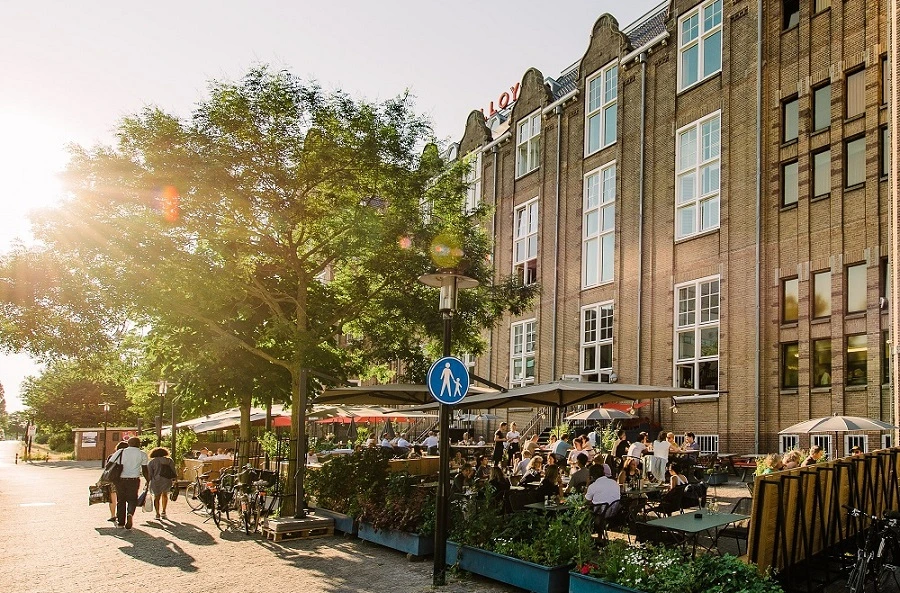 Terras-1-Dennis-Bouman.jpeg?type=w1