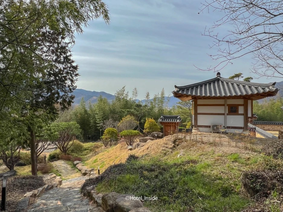 SE-5fd7a732-9bea-4447-819e-c7486bbc52bc.jpg?type=w1