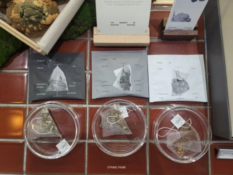 SE-7b069966-e922-4d64-b3a4-8c25ac0769a1.jpg?type=w466