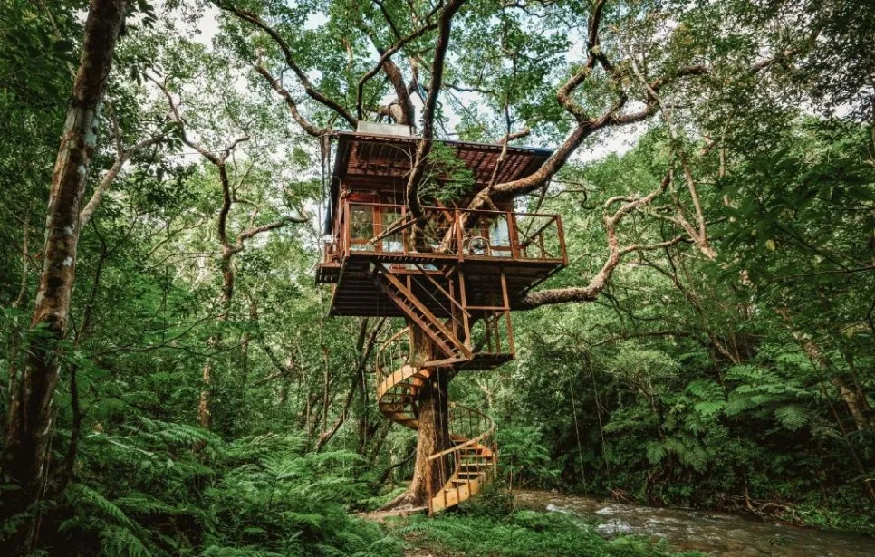treehouse.jpg?type=w966